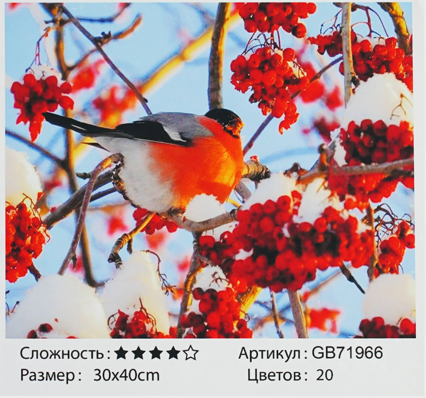 Алмазная мозаика TK Group Снегирь 30х40 см (GB 71966)