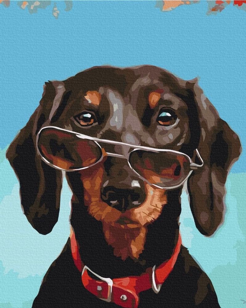 Картина по номерам Brushme SH53508 Пан Панчо 40x50 см (27607)