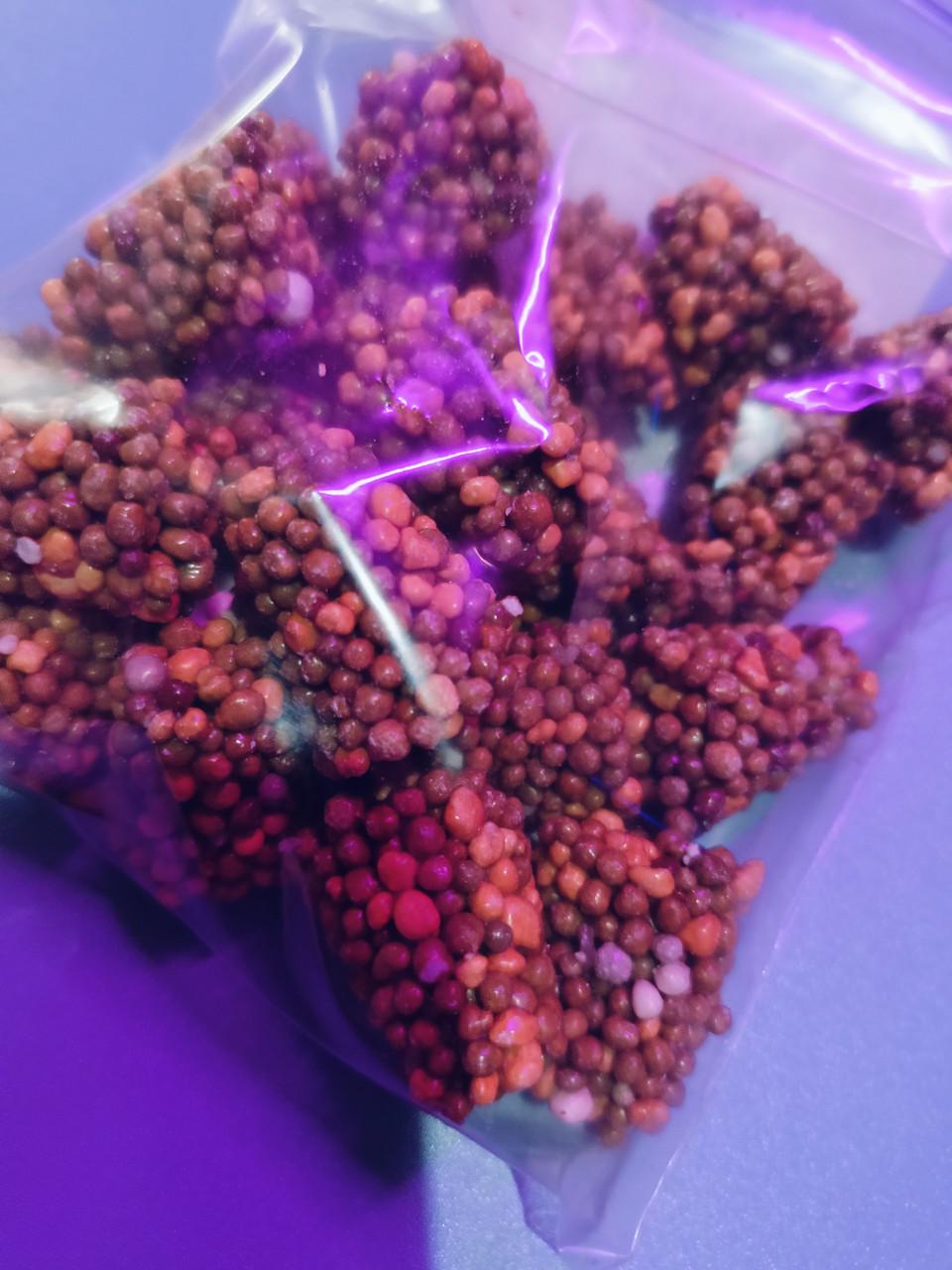 Добриво Осмокот таблетка 7,5 г 1 шт. (2470527474)