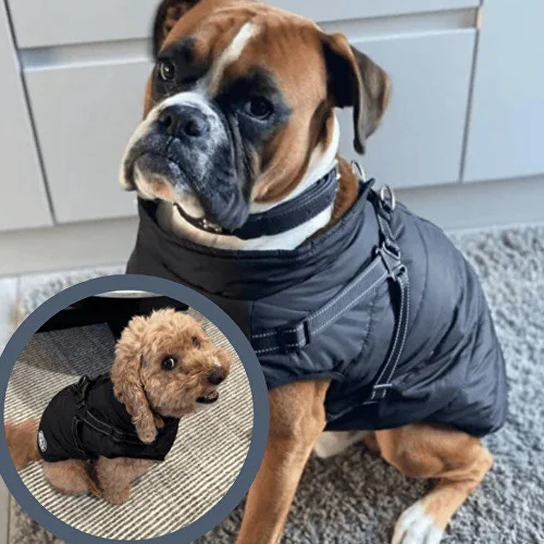 Жилет для собак C00247-3 3ХL Чорний - фото 3 Жилет для собак C00247-3 3ХL Чорний - фото 3