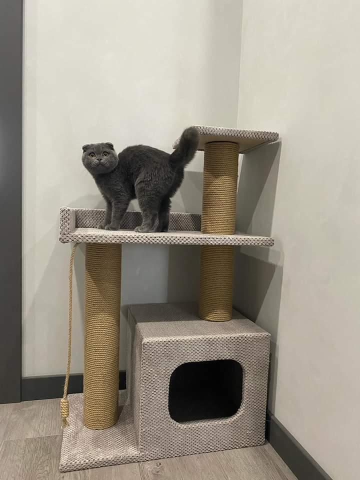 Когтеточка с домиком и лежанкой 85x55x35 см Мокко (21706950) - фото 2