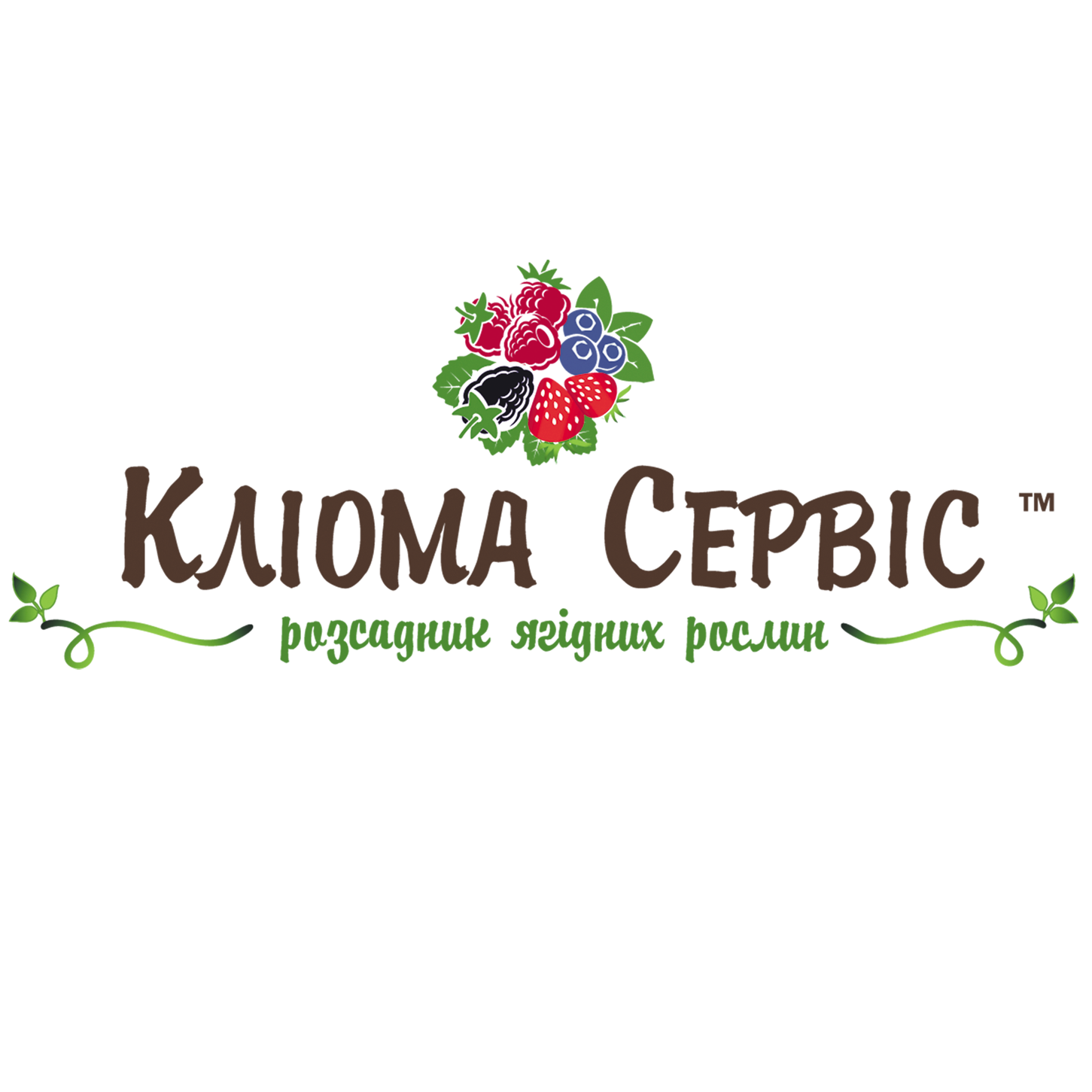 Кліома Сервіс