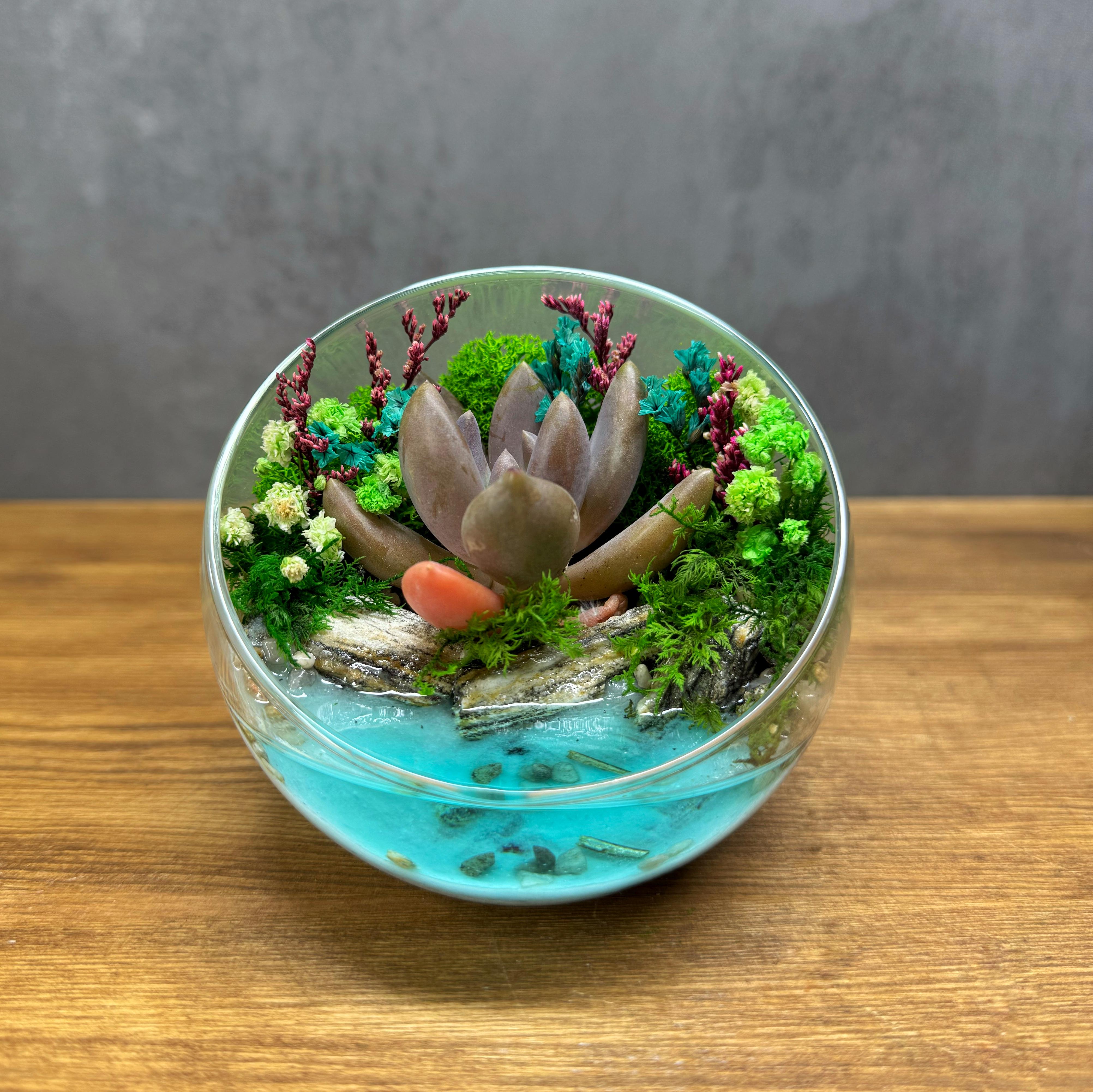 Флораріум із сукулентом та імітацією водойми Оазис 9 см Флораріум із сукулентом та імітацією водойми Оазис 9 см
