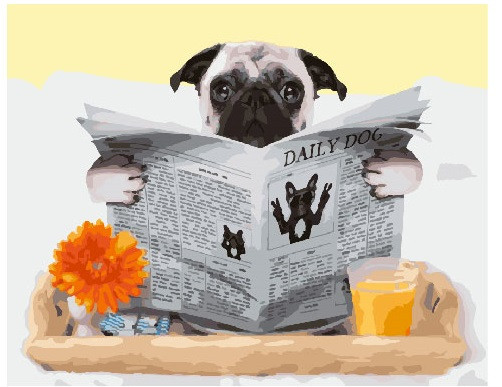 Картина по номерам Brushme Мопс с газетой (GX25601) Картина по номерам Brushme Мопс с газетой (GX25601)