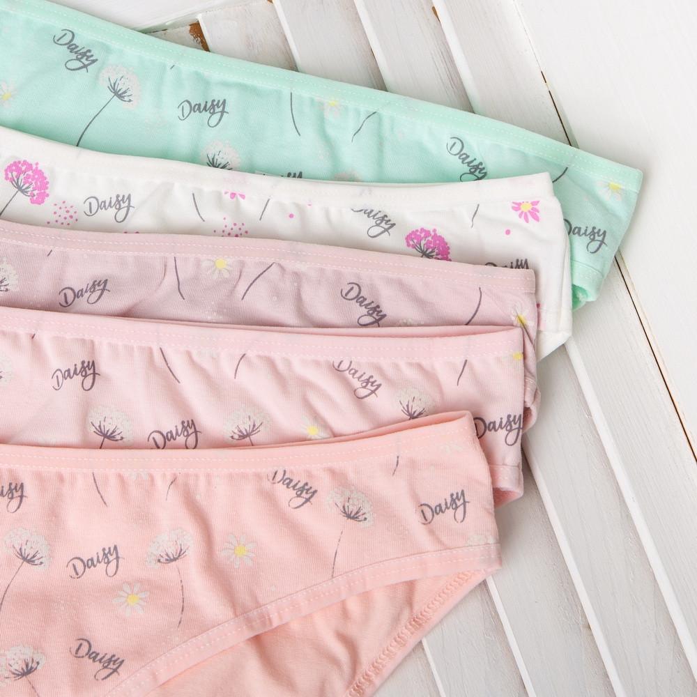 Женские трусики Nicoletta M 5 шт. Разноцветный (4529) - фото 2 Женские трусики Nicoletta M 5 шт. Разноцветный (4529) - фото 2