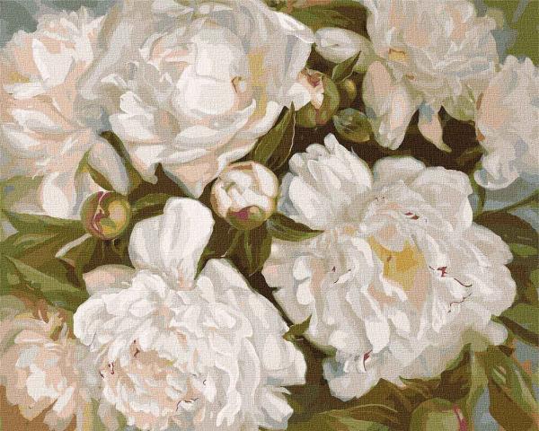 Картина по номерам Идейка Цветы Белоснежная красота 40х50 см в термопакете (KHO2985)