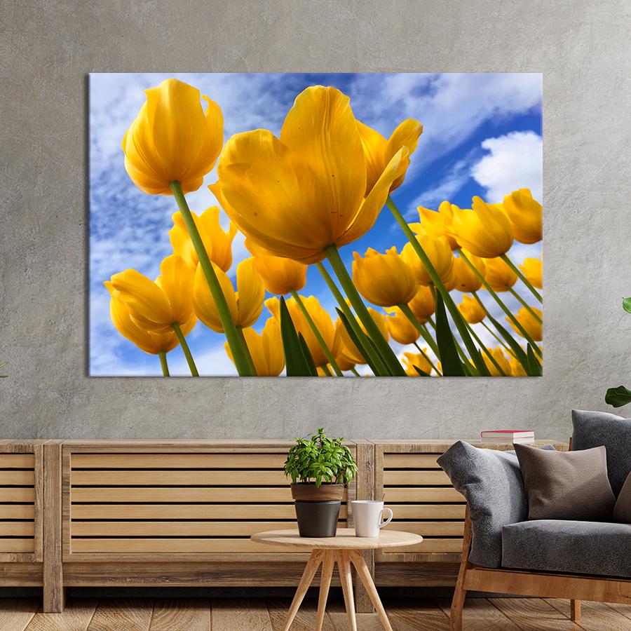 Картина квіти та рослини Жовті тюльпани під блакитним небом 51x34 см (A1026-1)