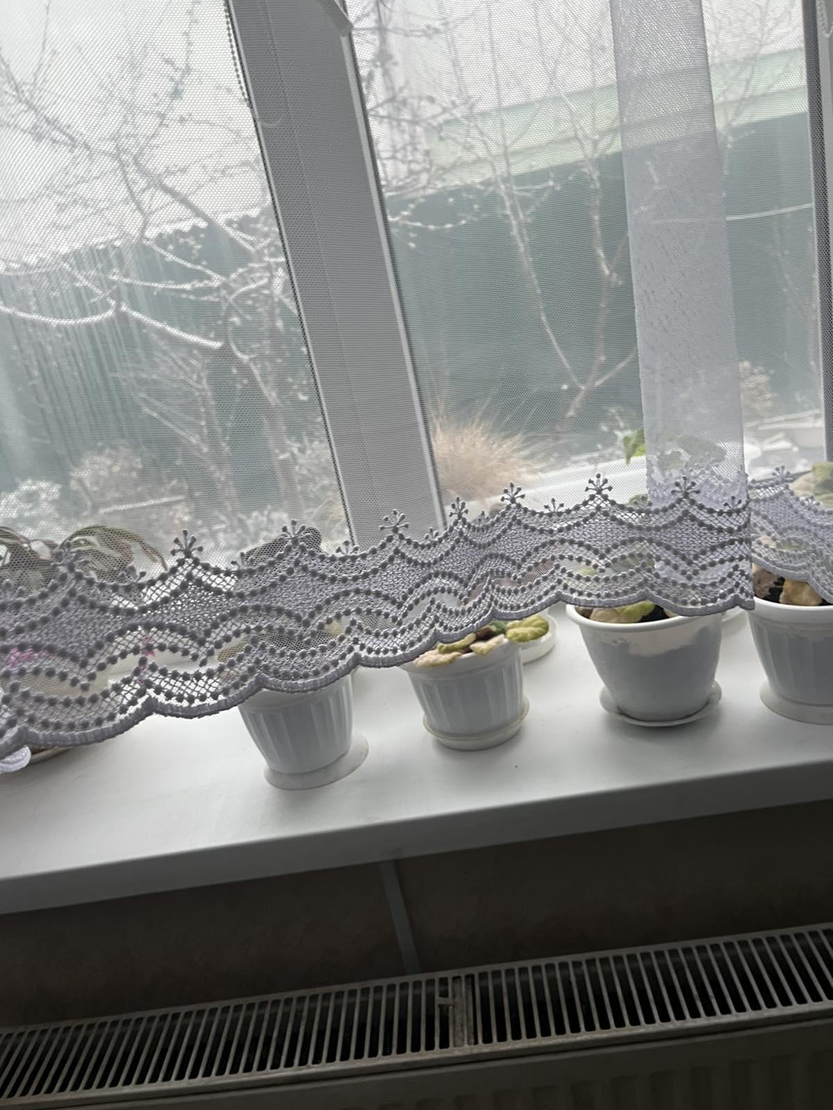 Тюль аркою грек сітка з купоном 5х1, 65 м Білий - фото 2