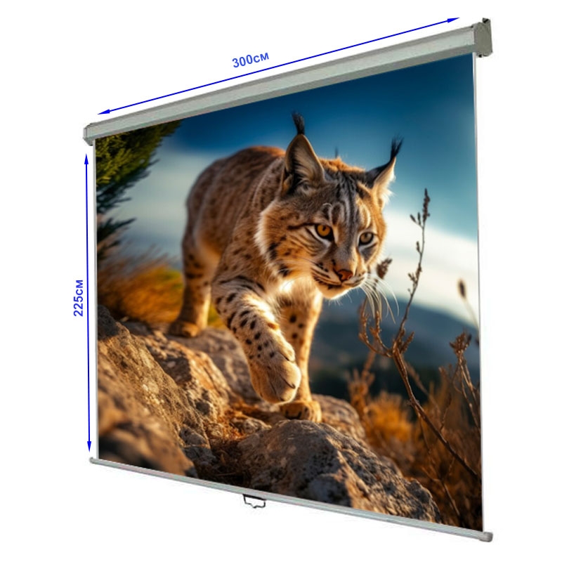 Екран проекційний Walfix SNM-5 настінний стельовий 150" 300x225 см 4:3 (tf539) - фото 3 Екран проекційний Walfix SNM-5 настінний стельовий 150" 300x225 см 4:3 (tf539) - фото 3