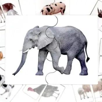 Игра для детей IQ Лото Найди половинки (Thea-23101) - фото 2