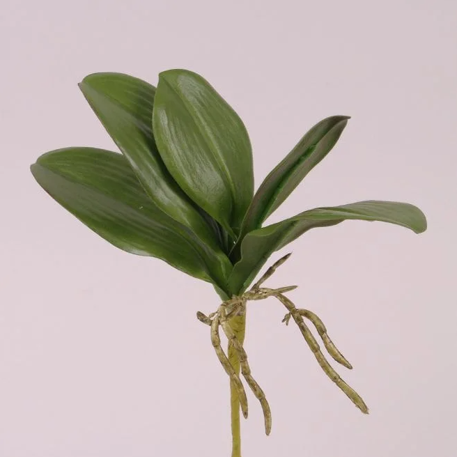 Листья орхидеи искусственные Flora (72870)