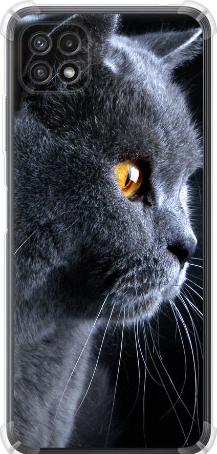 Чехол на Samsung Galaxy A22 5G A226B Красивый кот (3038sp-2581-42517)