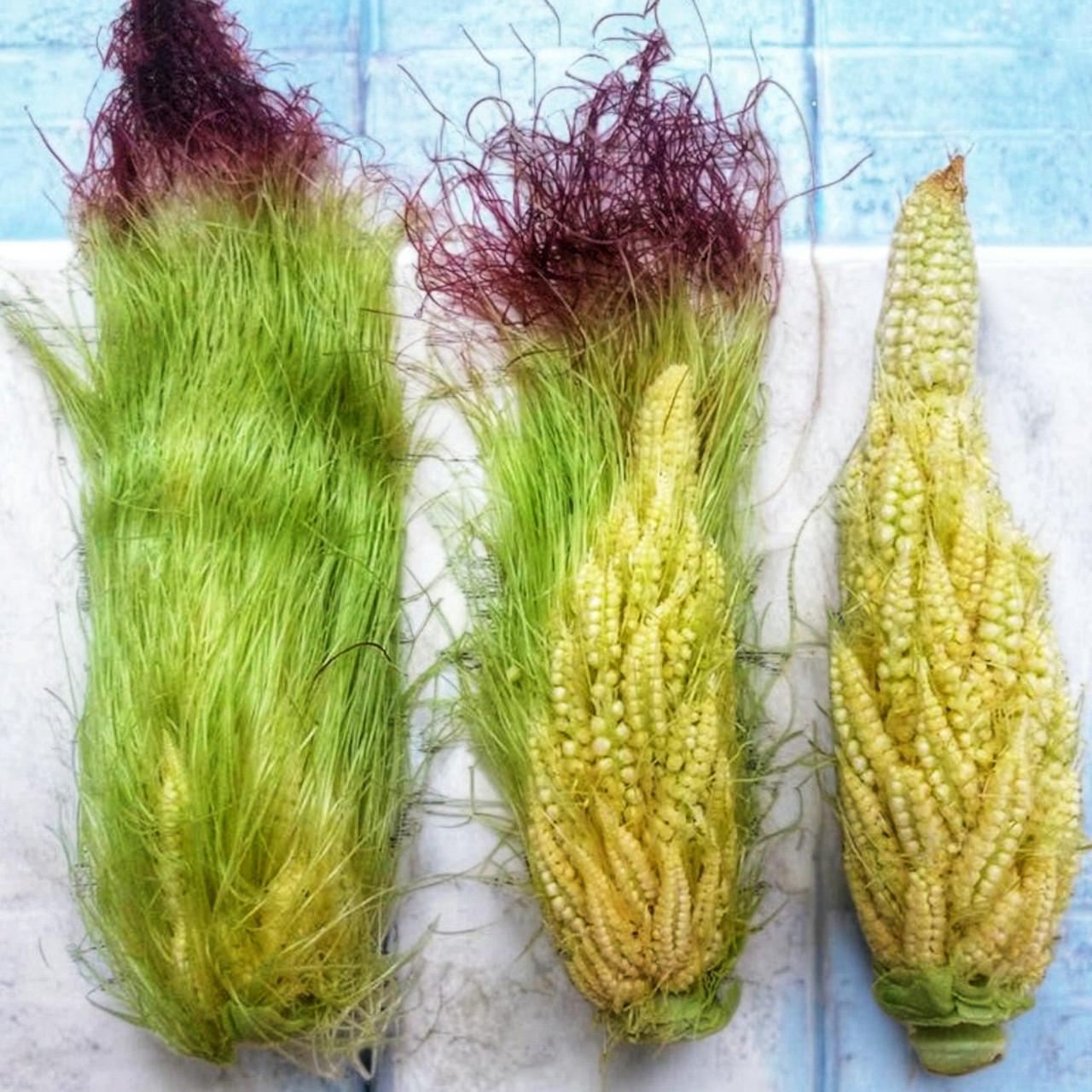 Семена Кукуруза беби-корн Диадема F1 5 шт. (2516733401)