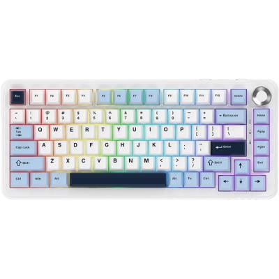 Клавиатура Ajazz AK820 MAX PLUS Daydream Switch RGB Bluetooth/USB White (AK820MAX-DD-BWD)