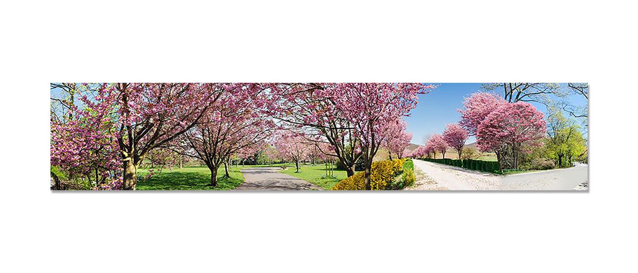 Наклейка виниловая на кухню Zatarga Цветущий сад 600х3000 мм (1274515537)