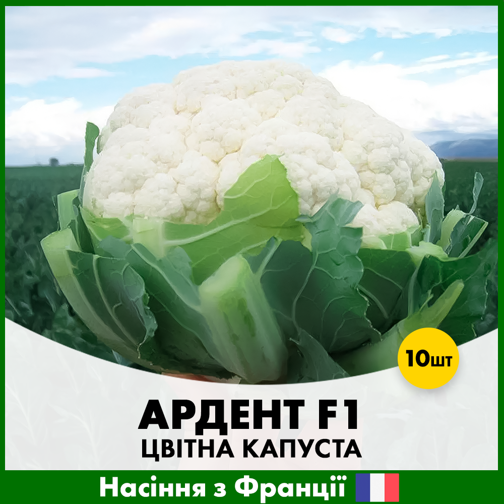Семена цветной капусты Clause Ардент F1 10 шт. (R50196)