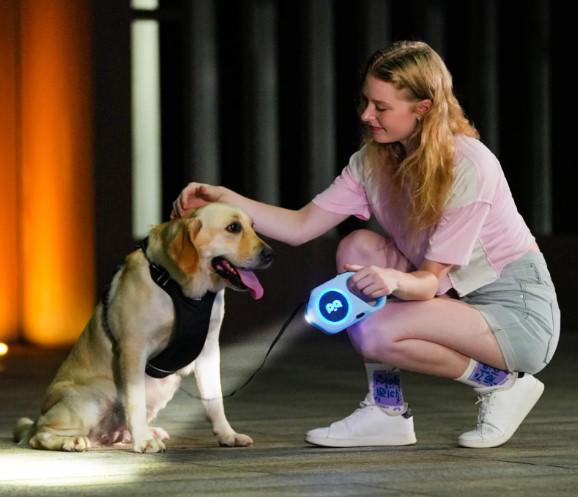 Поводок рулетка с LED подсветкой автоматическая на USB 5 м Голубой - фото 2 Поводок рулетка с LED подсветкой автоматическая на USB 5 м Голубой - фото 2