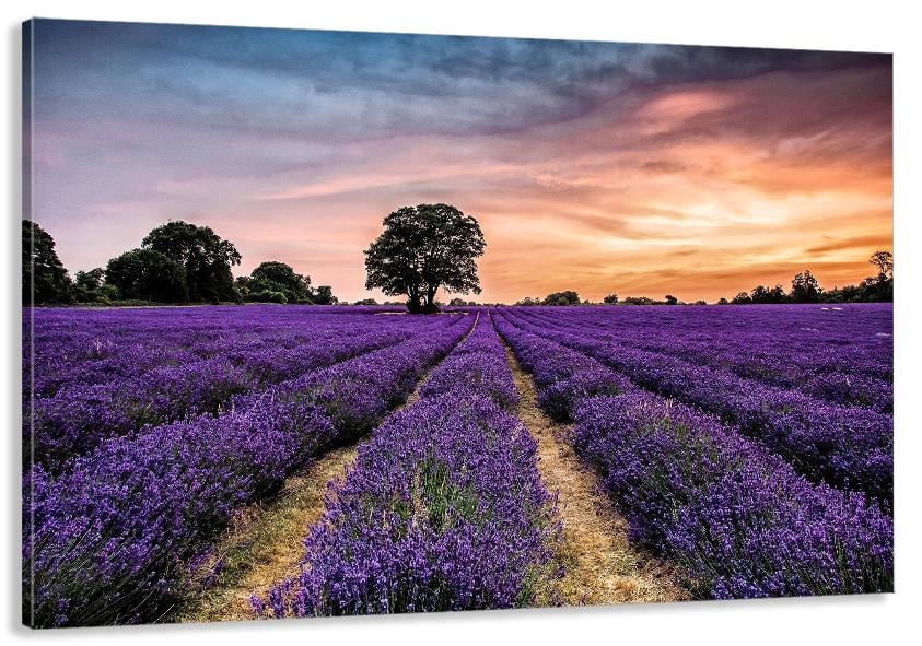 Картина на холсте в гостиную/спальню Лаванда 90х180 см (MLP_86)