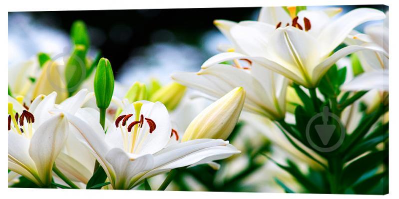 Картина на холсте Декор Карпаты Цветы 50х100 см (c36)