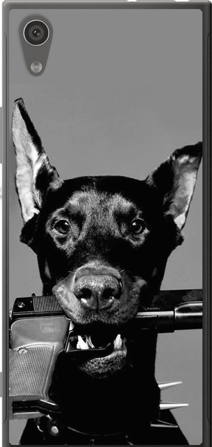 Чехол на Sony Xperia XA1 G3112 Доберман (2745u-964-42517)