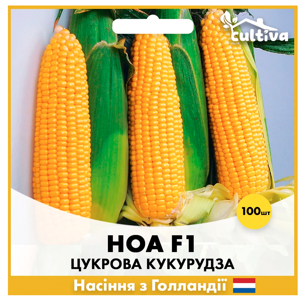 Семена кукурузы Hazera Сахарная Ноа F1 100 шт. (00296)