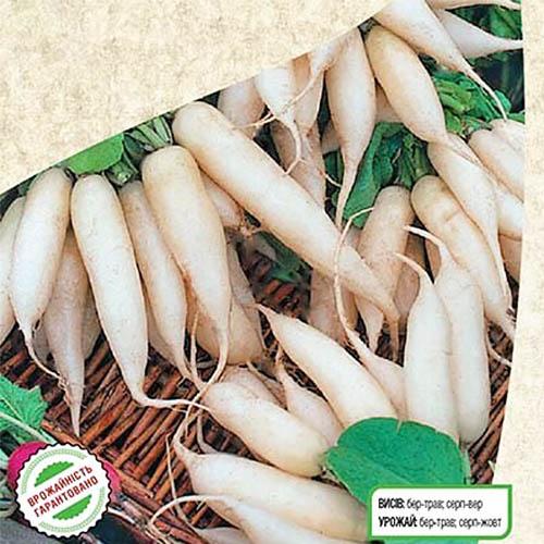 Семена Редіс Florium Вайт Брекфест (8479) - фото 3 Семена Редіс Florium Вайт Брекфест (8479) - фото 3