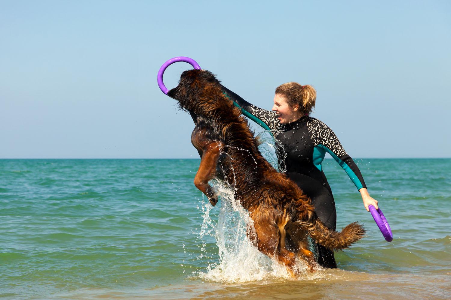 Тренувальний снаряд для собак Puller Standard 28 см (6490) - фото 32