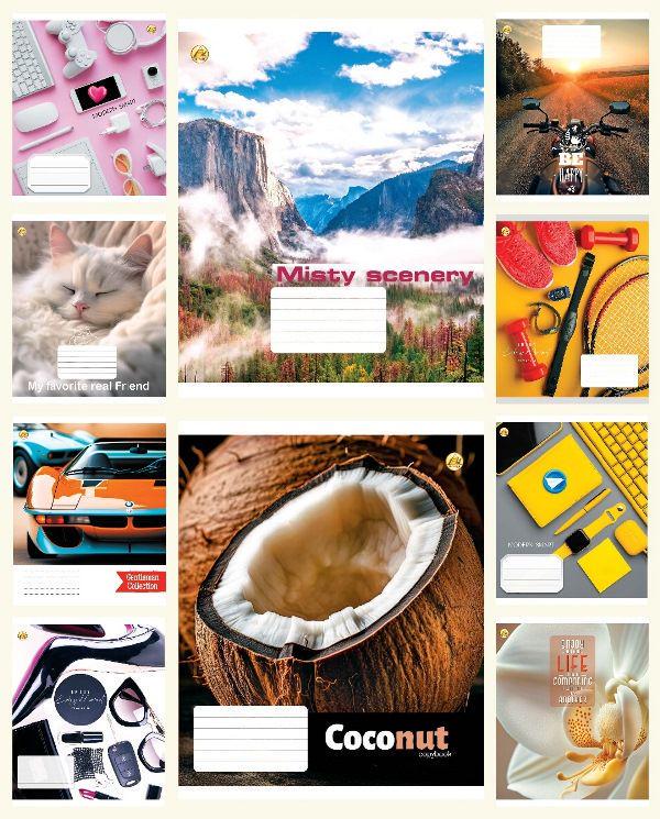 Зошити учнівські Тетрада 41503 Мікс д/х 1 48 арк. 10 шт. в уп. (MTT-183975)