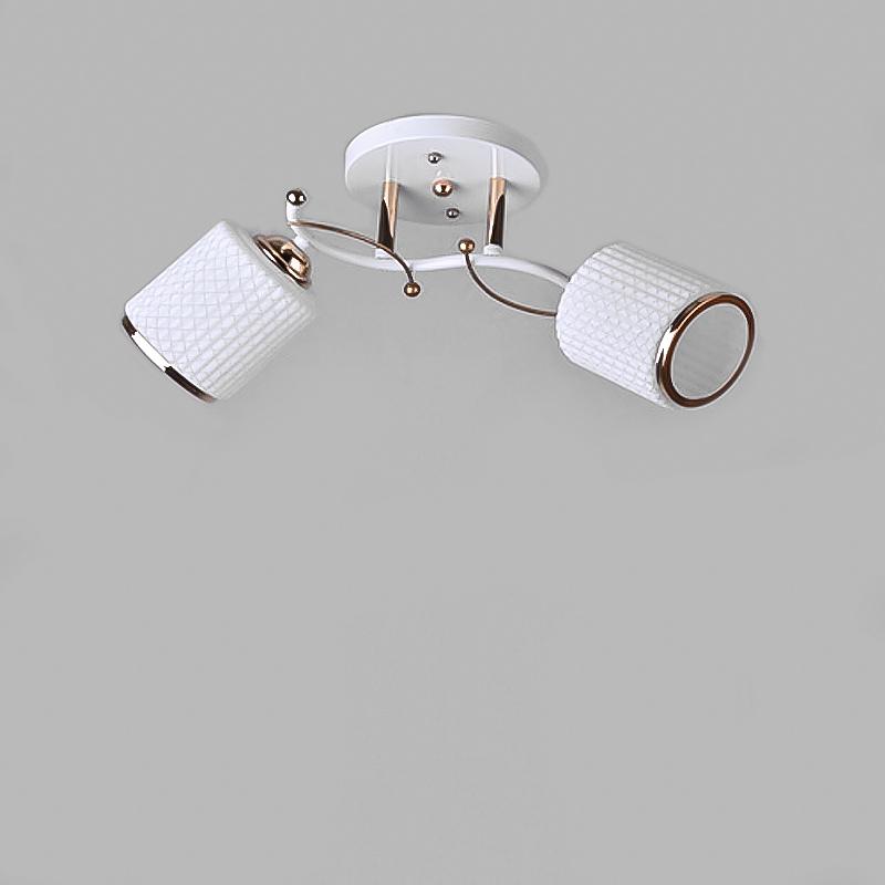 Люстра стельова Light House SRS-13499/2 WT+FG на дві лампи Білий