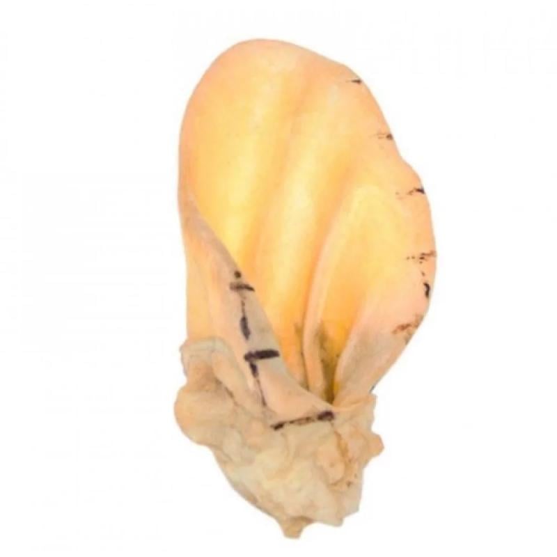 Лакомство для собак Сельские Смаколики ухо говяжье кальцинированное 1 шт. (2913750103182)