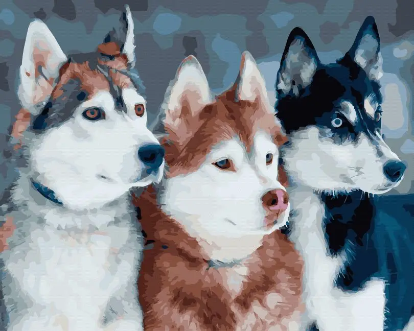 Картина по номерам Brushme Красавчики-хаски 40x50 см (BRM45404)