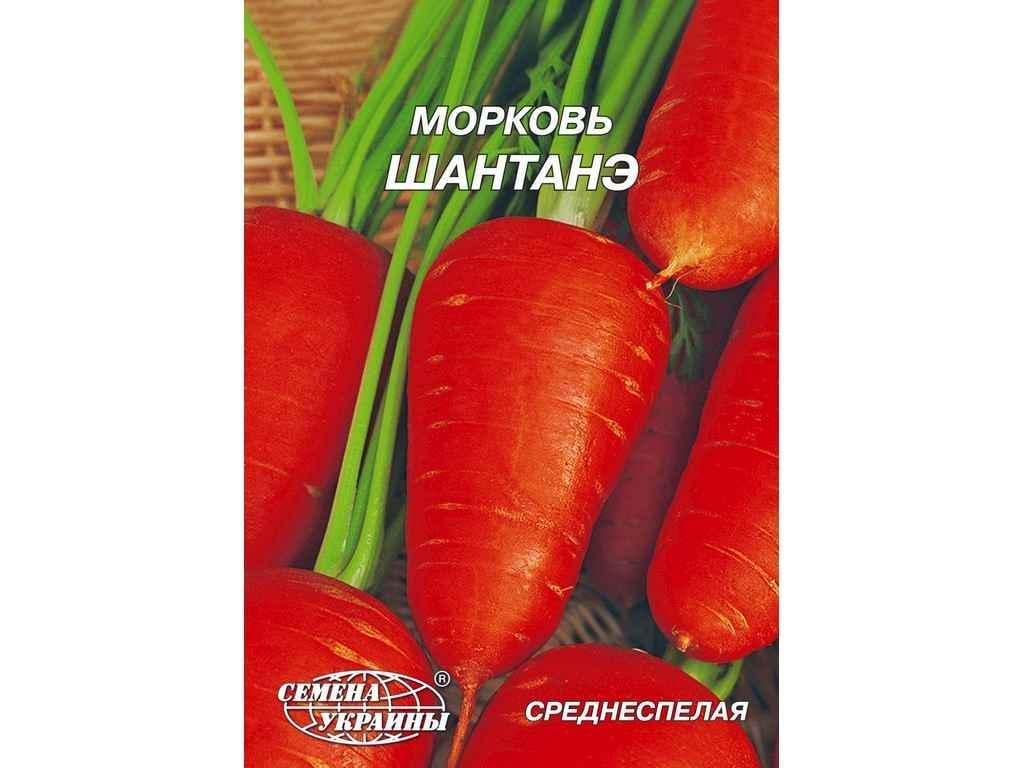 Семена Морковь Насіння України Гигант 20 г 10 пачек (71554)