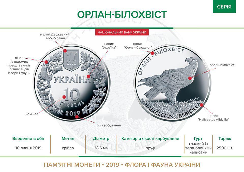 Серебряная монета Орлан-Белохвост 10 гривен 2019 Украина 1 oz (321) - фото 8