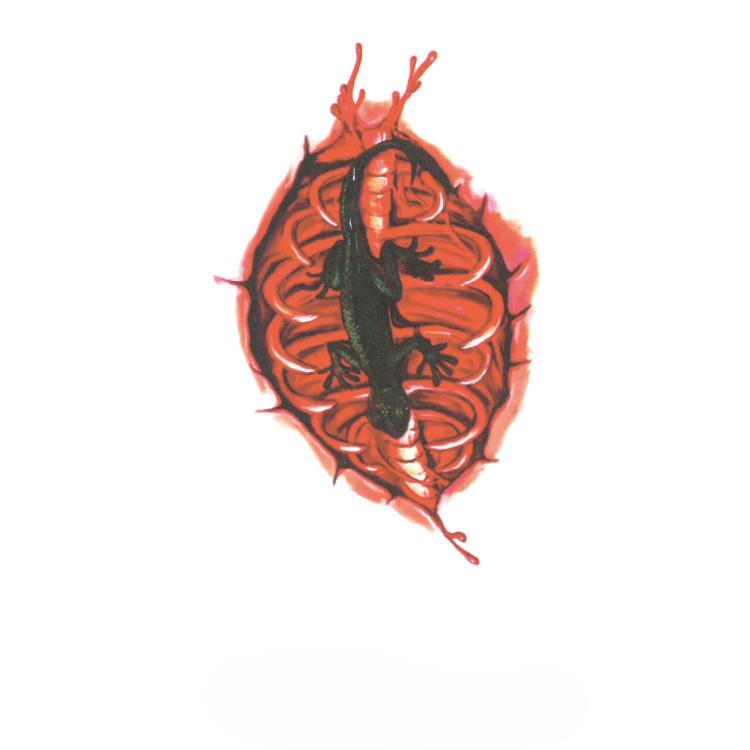 Наклейки тату для Хэллоуина с Ящерицей 10x6 см Красно-черный (900010)