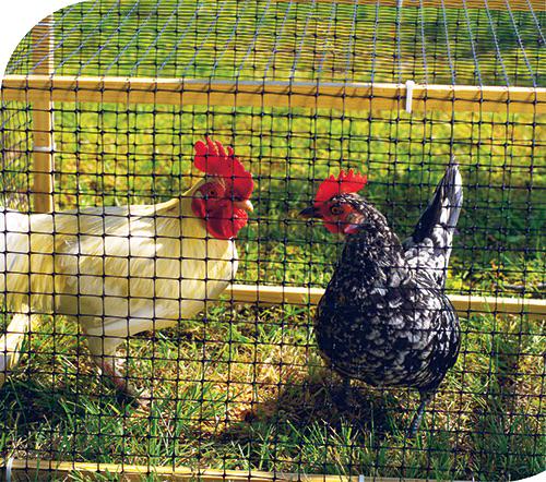 Сетка защитная от птиц Птичка 2x100 м ячейка 30х35 мм Черный (676) - фото 7 Сетка защитная от птиц Птичка 2x100 м ячейка 30х35 мм Черный (676) - фото 7