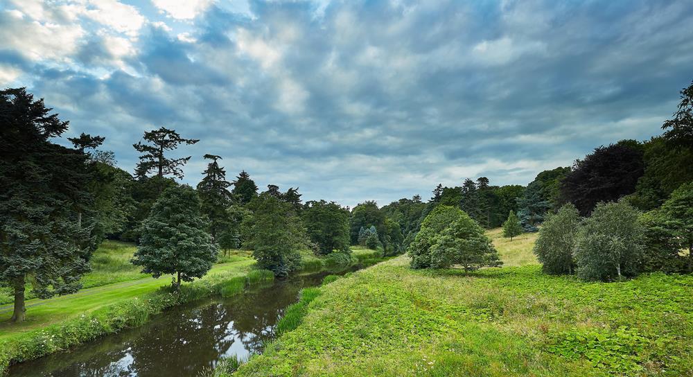 Картина на холсте Природа 30х40 см (N385)