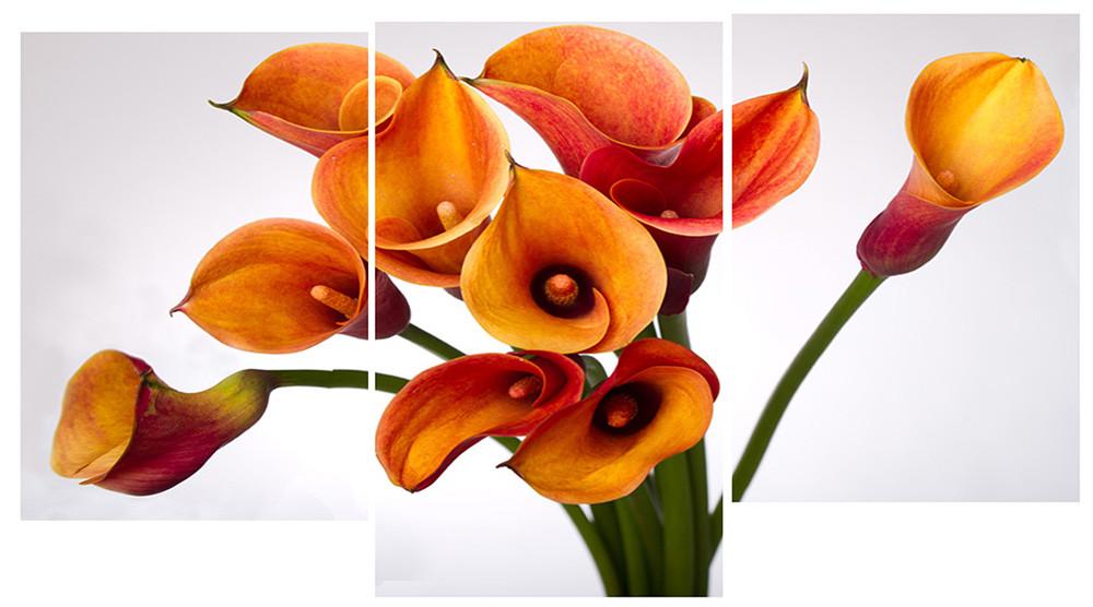 Модульная картина Декор Карпаты 100х53 см (M3-t104)