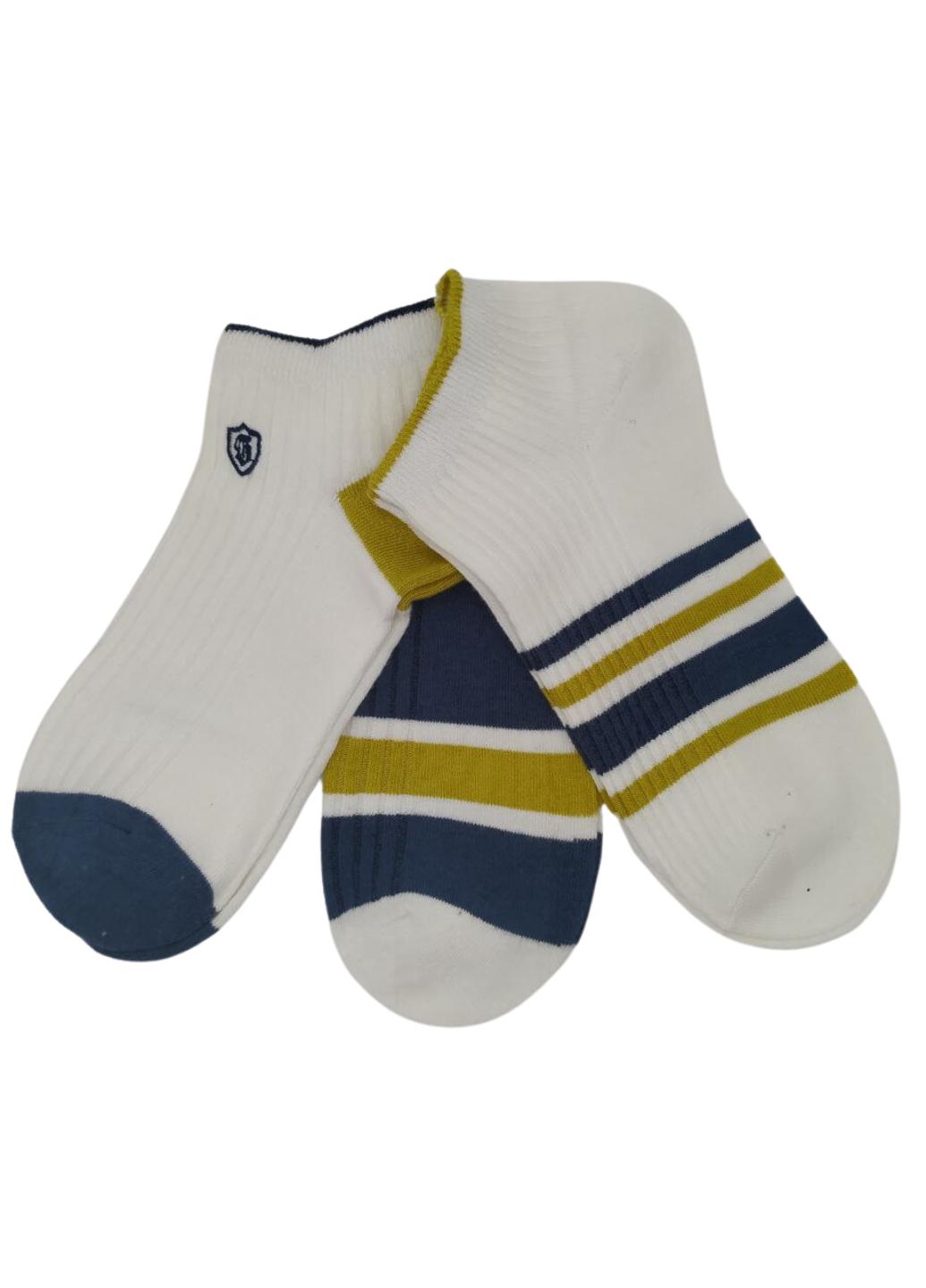 Набір шкарпеток чоловічих Convenient 904-01 р. 41-44 3 шт. Різнокольоровий (12562217) - фото 2