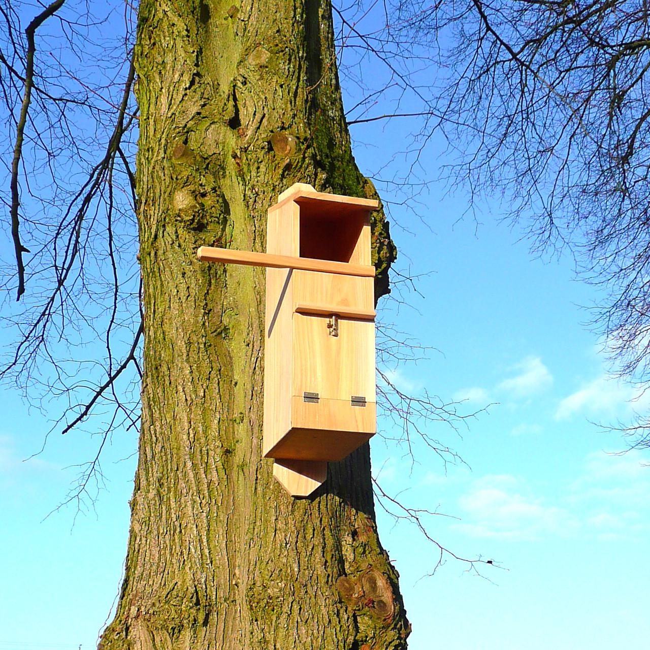 Будиночок для сови з дерева Заура Бланже (ДСО-001601) - фото 2 Будиночок для сови з дерева Заура Бланже (ДСО-001601) - фото 2