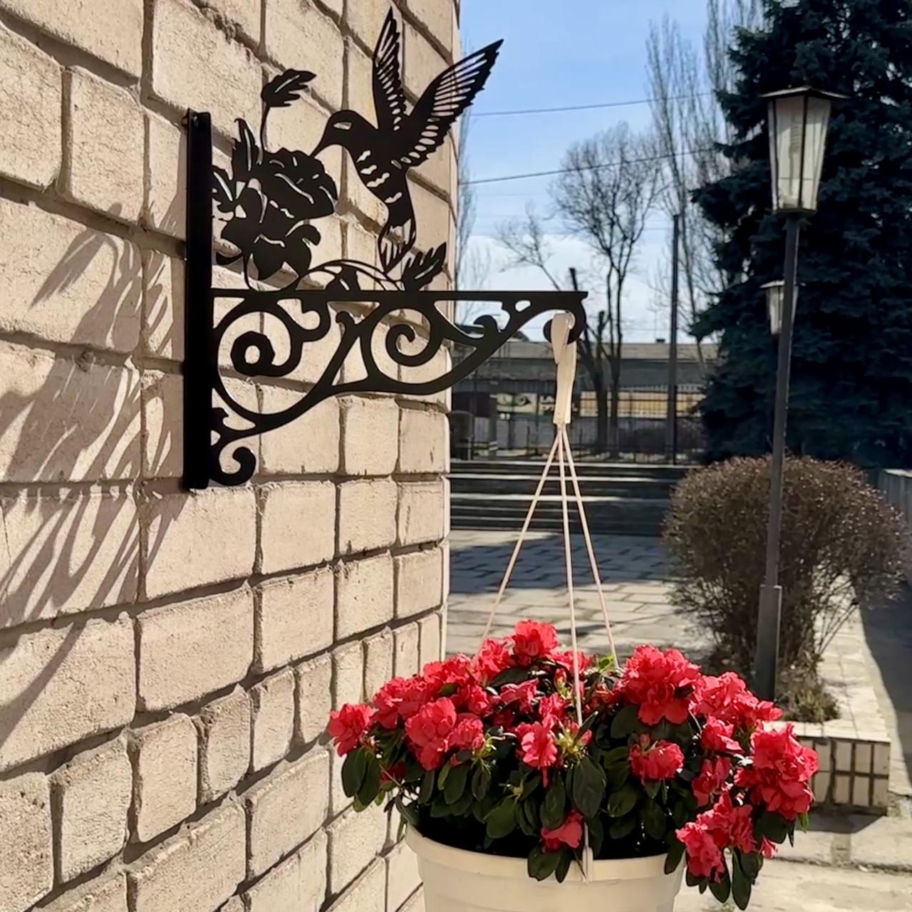 Кронштейн Колибри для кашпо с цветами метал Черный (Б009) - фото 5 Кронштейн Колибри для кашпо с цветами метал Черный (Б009) - фото 5