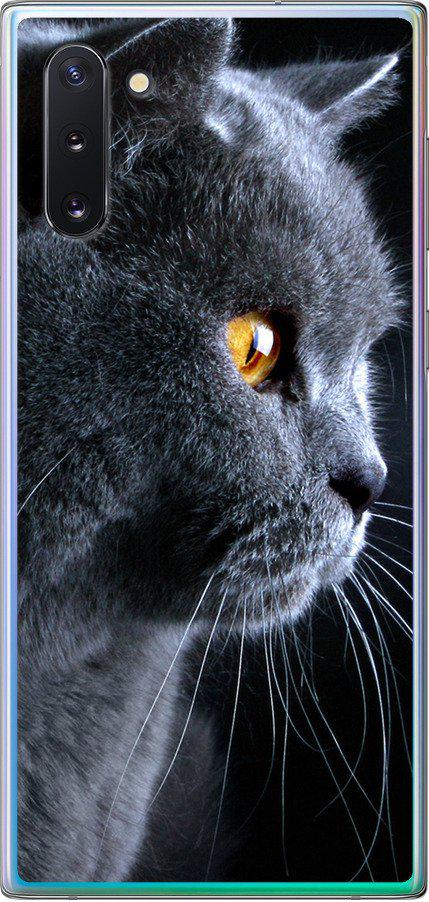 Чехол на Samsung Galaxy Note 10 Красивый кот (3038u-1718-42517)