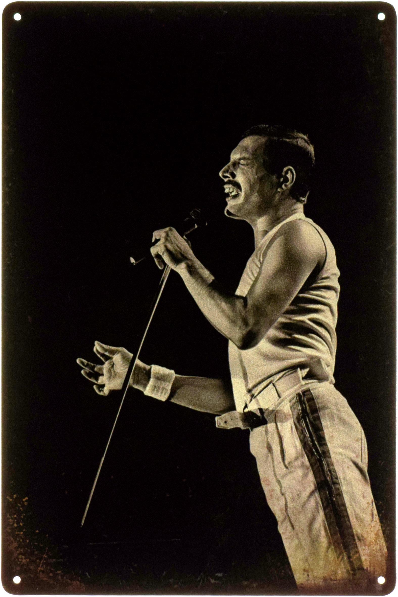 Металлическая табличка Фредди Меркьюри/Freddie Mercury Queen 20x30 см