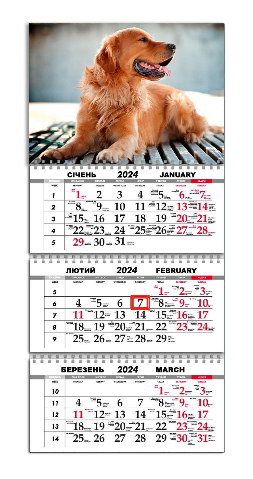 Календарь APRIORI квартальный на 2024 год Собака 30х61 см (UA977) Календарь APRIORI квартальный на 2024 год Собака 30х61 см (UA977)