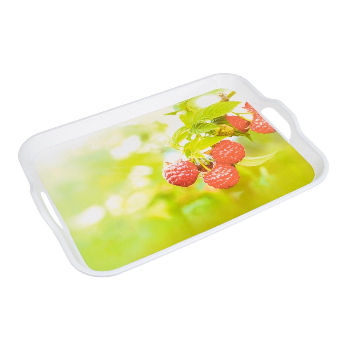 Таця Орлеан Lora NRP50 53,3x37,5 см