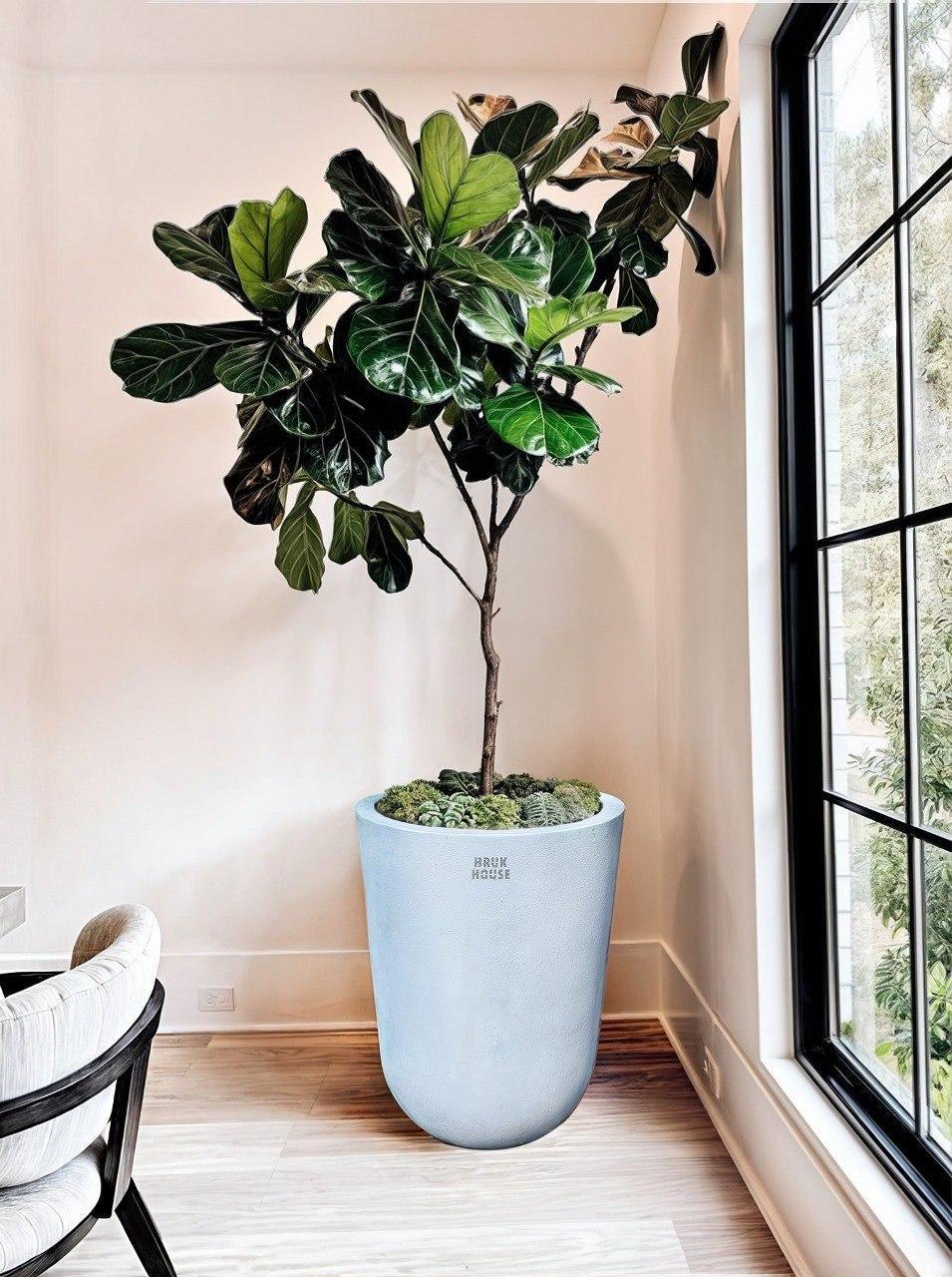 Вазон бетонний Алассіо вуличний 440x350 мм 26 л (1918859816) - фото 2 Вазон бетонний Алассіо вуличний 440x350 мм 26 л (1918859816) - фото 2