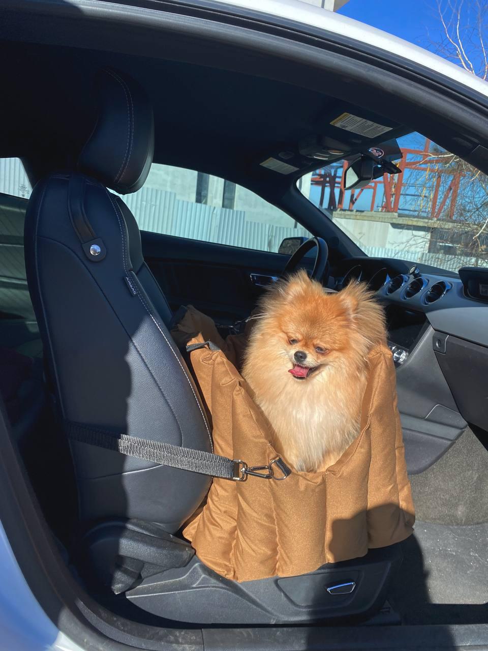 Сумка-переноска для домашних животных Incor 60х40х37 см Коричневый (604037-1) - фото 11 Сумка-переноска для домашних животных Incor 60х40х37 см Коричневый (604037-1) - фото 11