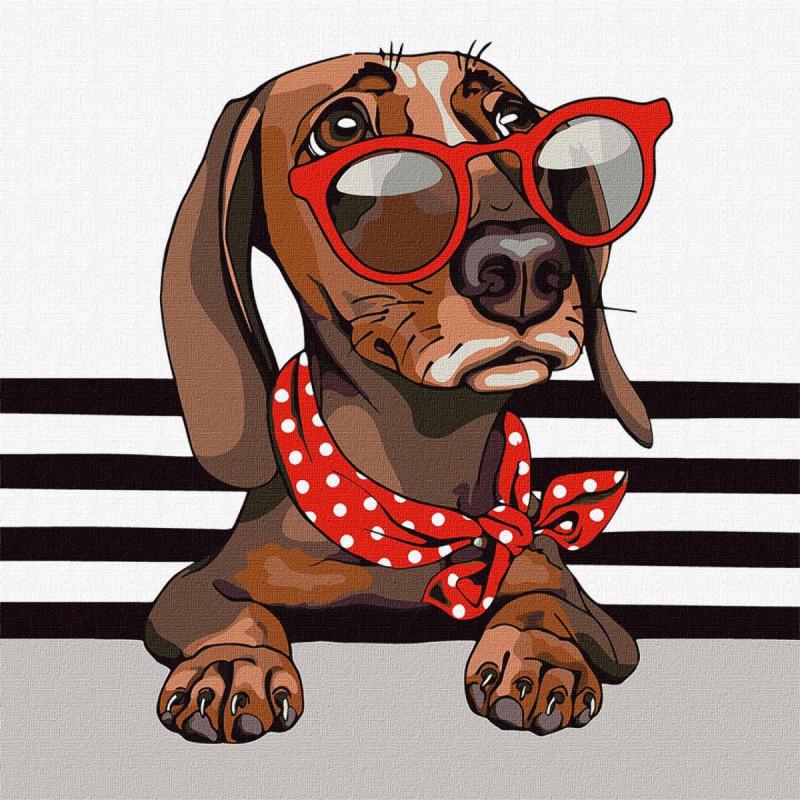 Картина по номерам Идейка Стильная такса 40x40 см (KHO4285)