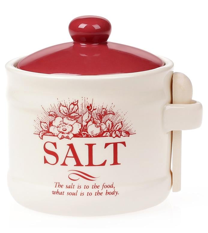 Банка керамическая Английский Шиповник SALT 450 мл с деревянной ложкой (BD-DM080-W)
