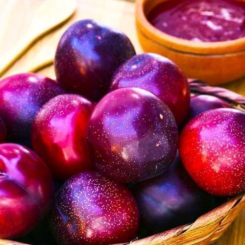 Сажанец Эксклюзив Японская слива Сатсума Satsuma раннеспелая крупноплодная 150грамм (46389)