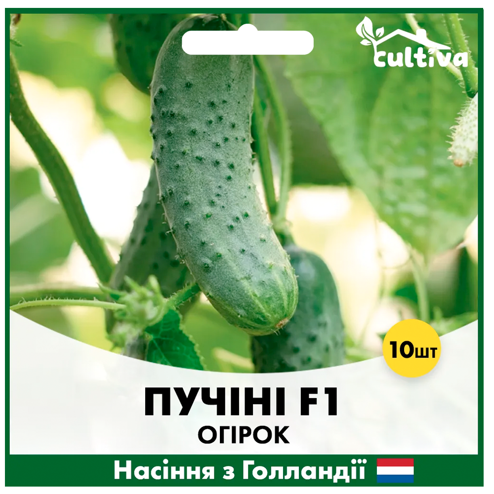 Семена огурца Rijk Zwaan Пуччини F1 10 шт. (00300)